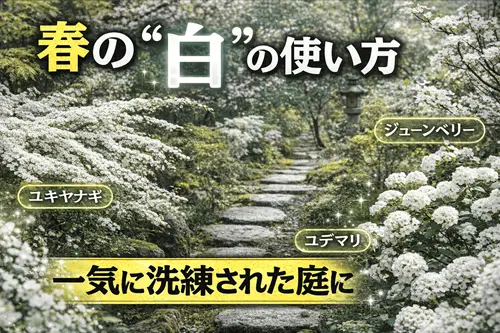 春の“白”の使い方 — 庭が一気に洗練される理由 —