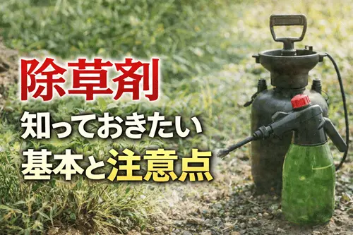 除草剤の知っておきたい基本と注意点