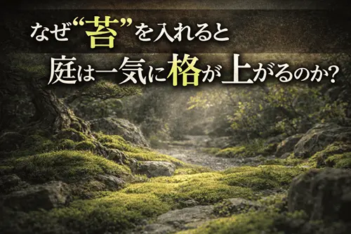 なぜ“苔”を入れると庭は一気に格が上がるのか？