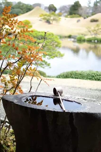 水鉢や手水鉢が庭にある意味