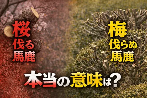 「桜伐る馬鹿、梅伐らぬ馬鹿」の本当の意味