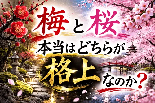 梅と桜、本当はどちらが格上なのか？