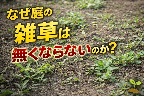 なぜ庭の雑草は無くならないのか？