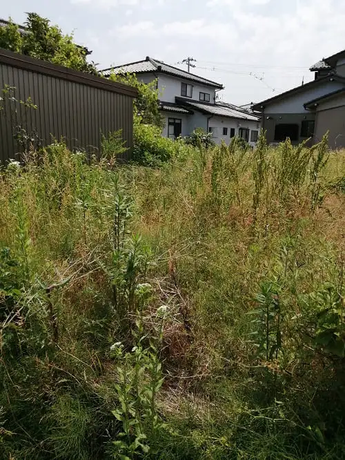 防草シート敷き施工前