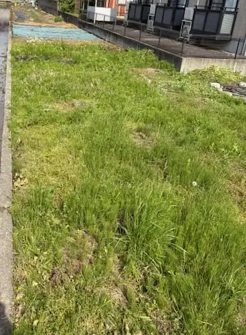 防草シート施工前