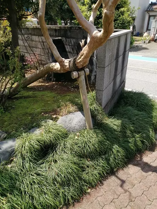 ２年前に施工の頬杖支柱