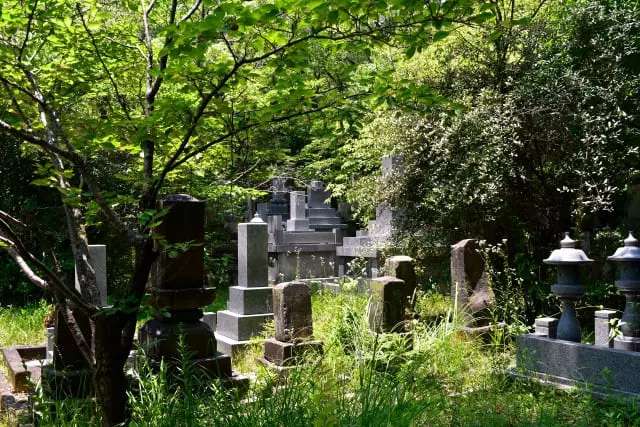 金額は高さと葉張りによって算出されます