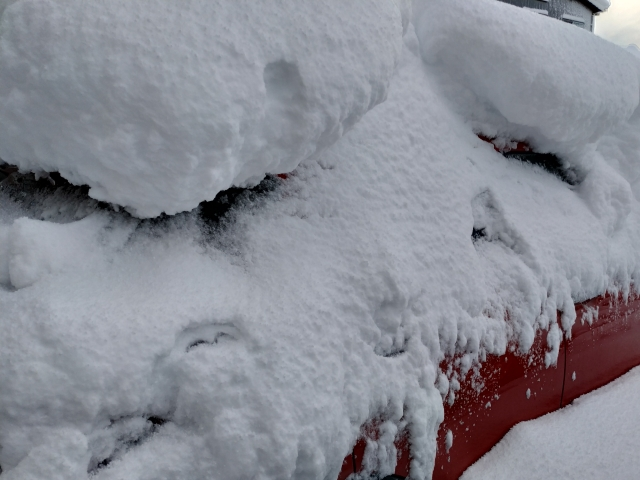 台風・大雪・大雨・地震などが発生した場合には、 訪問してご自宅の状況を報告します。台風や地震、大雨、大雪などの自然災害が発生すると、空き家に思わぬ被害が生じる可能性があります。屋根や外壁の破損、窓ガラスの損傷、浸水、庭木の倒壊など、早期に確認・対応しなければ、被害が拡大したり、近隣トラブルにつながることもあります。そのため、弊社では自然災害発生後に速やかに現地確認を行い、建物の安全をチェックするサービスを提供しております。