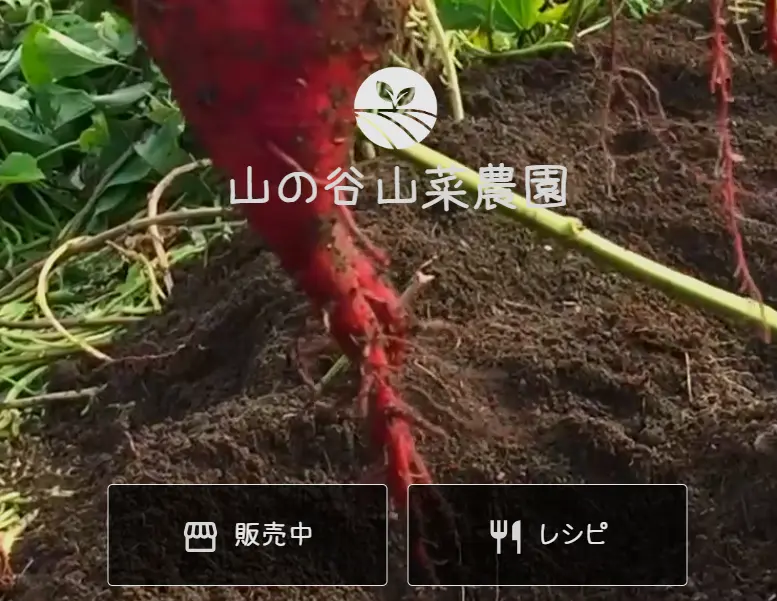 山の谷山菜農園