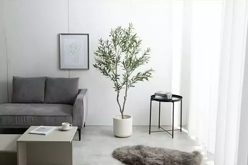 人工観葉植物 オリーブ 150cm
