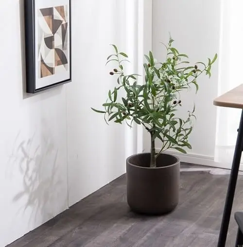 人工観葉植物 オリーブ 85cm