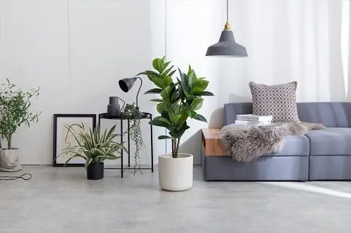 人工観葉植物 ゴムの木 95cm