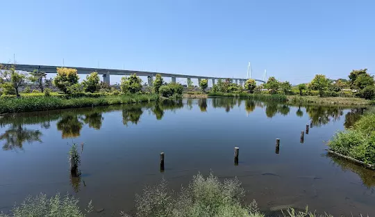 富山新港元気の森公園