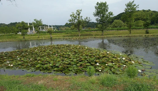 十二町潟水郷公園