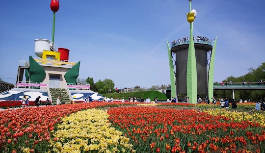 砺波チューリップ公園