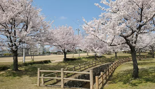 歌の森運動公園